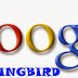 ALGORITMA TERBARU GOOGLE HUMMINGBIRD