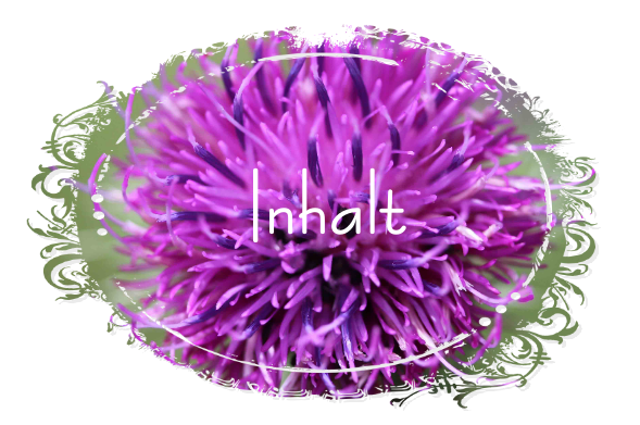 Coffeeride Sport Kaffeekultur