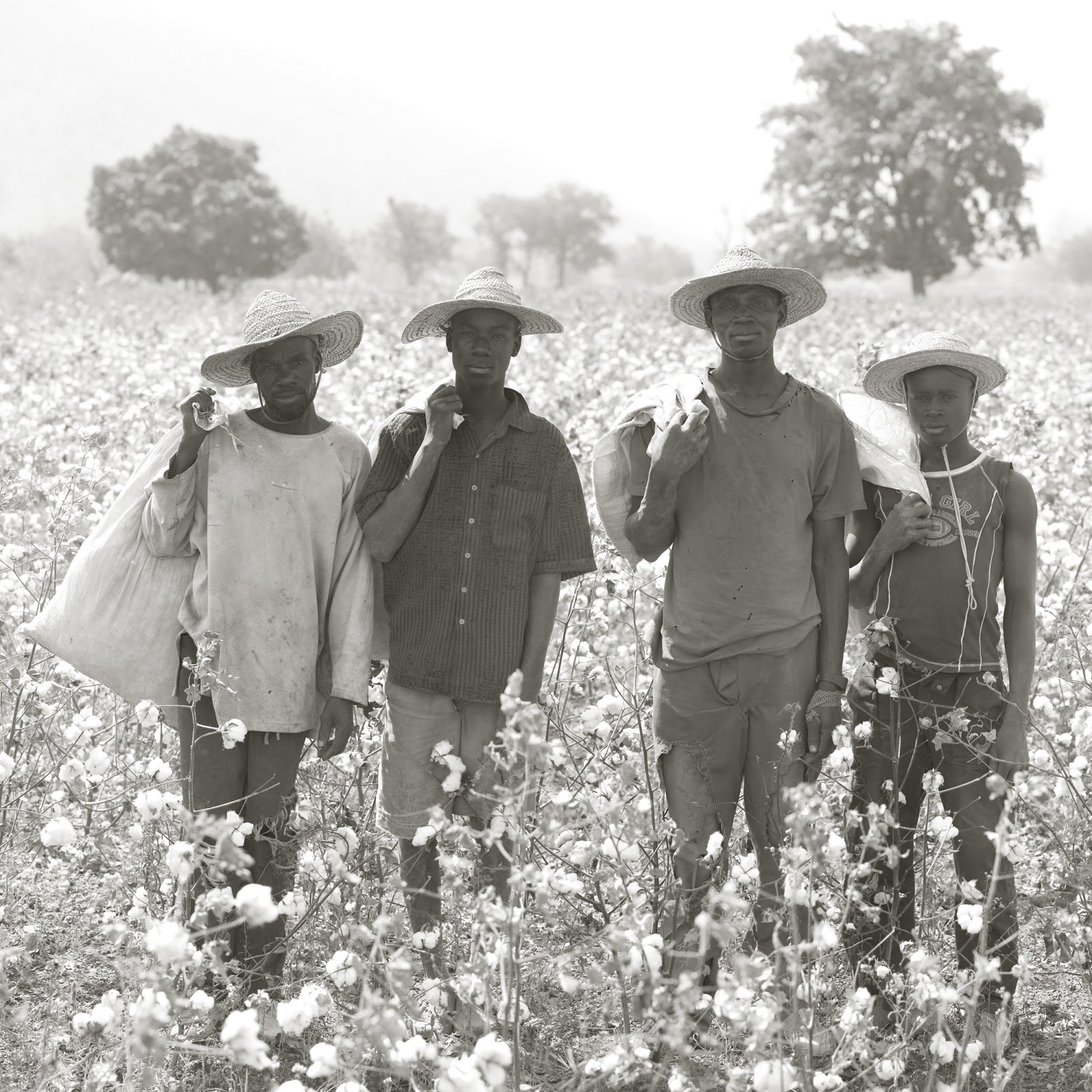 The Hallstand Oktober 2012