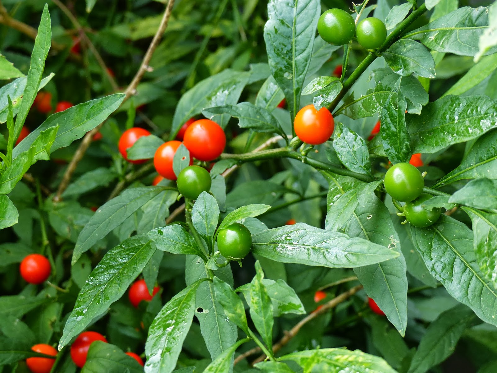 Sms D Amour J Ai Besoin De Toi Mon Amour Jpg 600 449 Besoin De