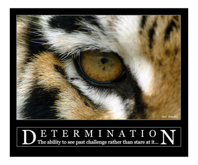 Photos Of Determination