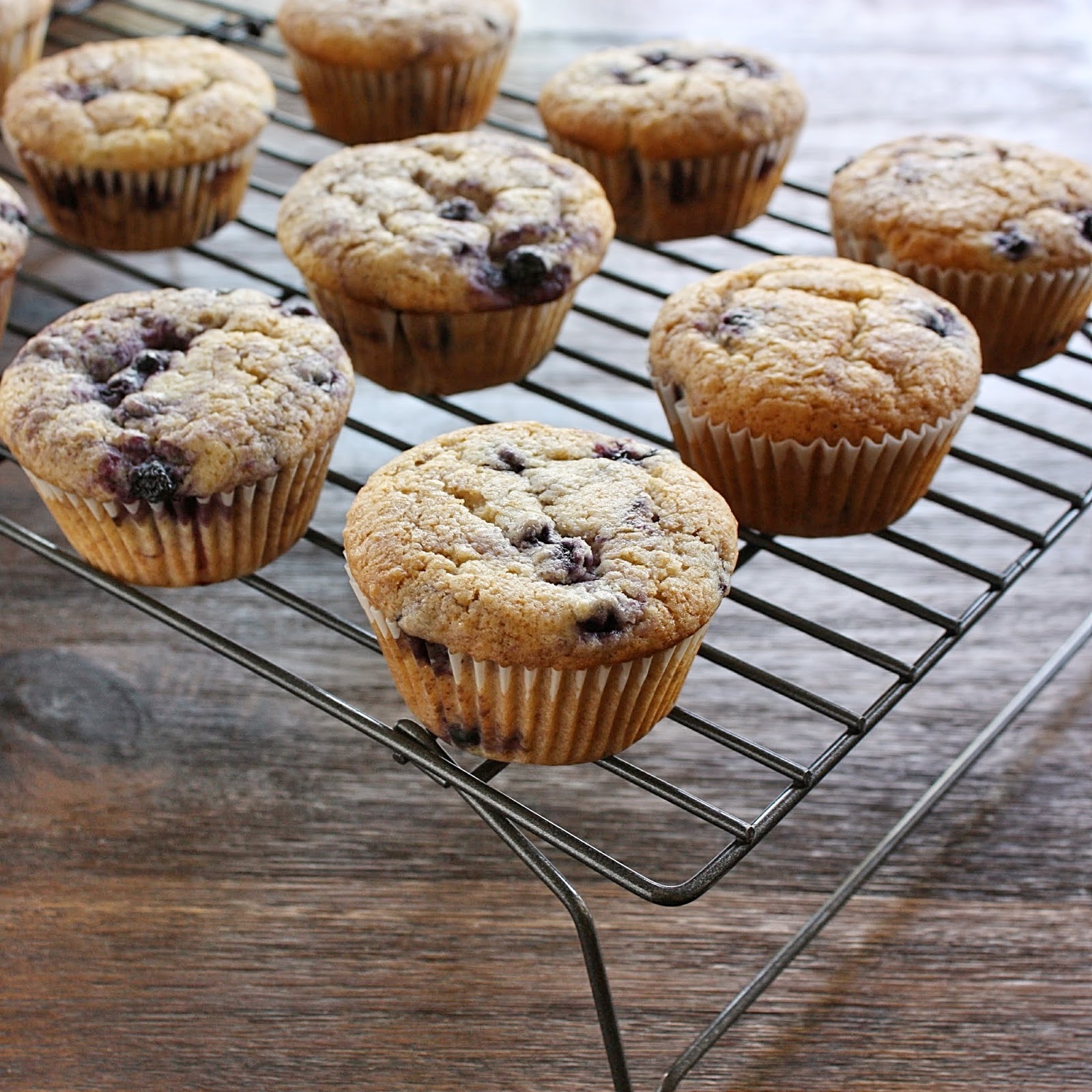 Art of Dessert Allergyfriendly Vegan Blueberry Muffins