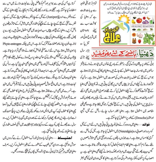 The Effects of Celery on Your Digestive System in Urdu Fashion Beauty