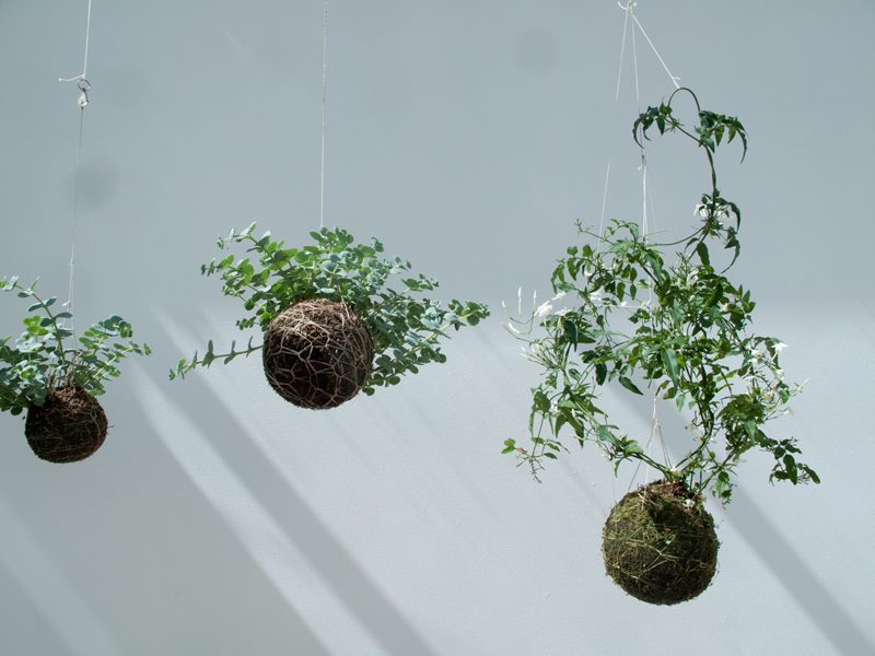 design shimmer string gardens design shimmer string gardens