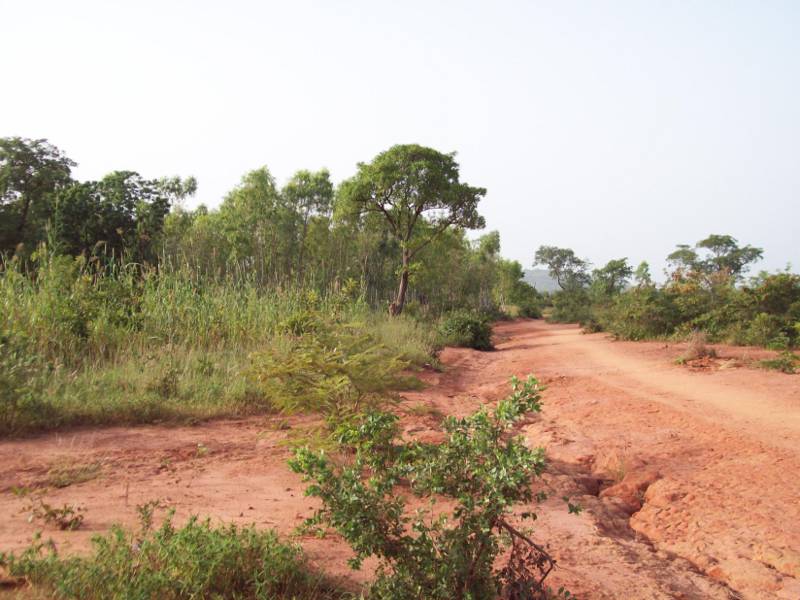 burkina-faso-paysage