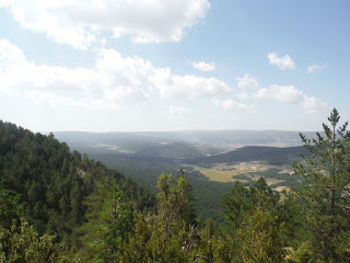 Bosques de Fortanete