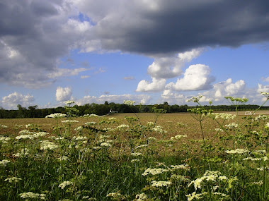 Loire Valley