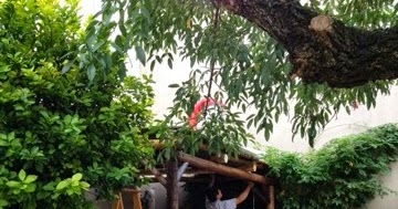 La pérgola / Deco Marce