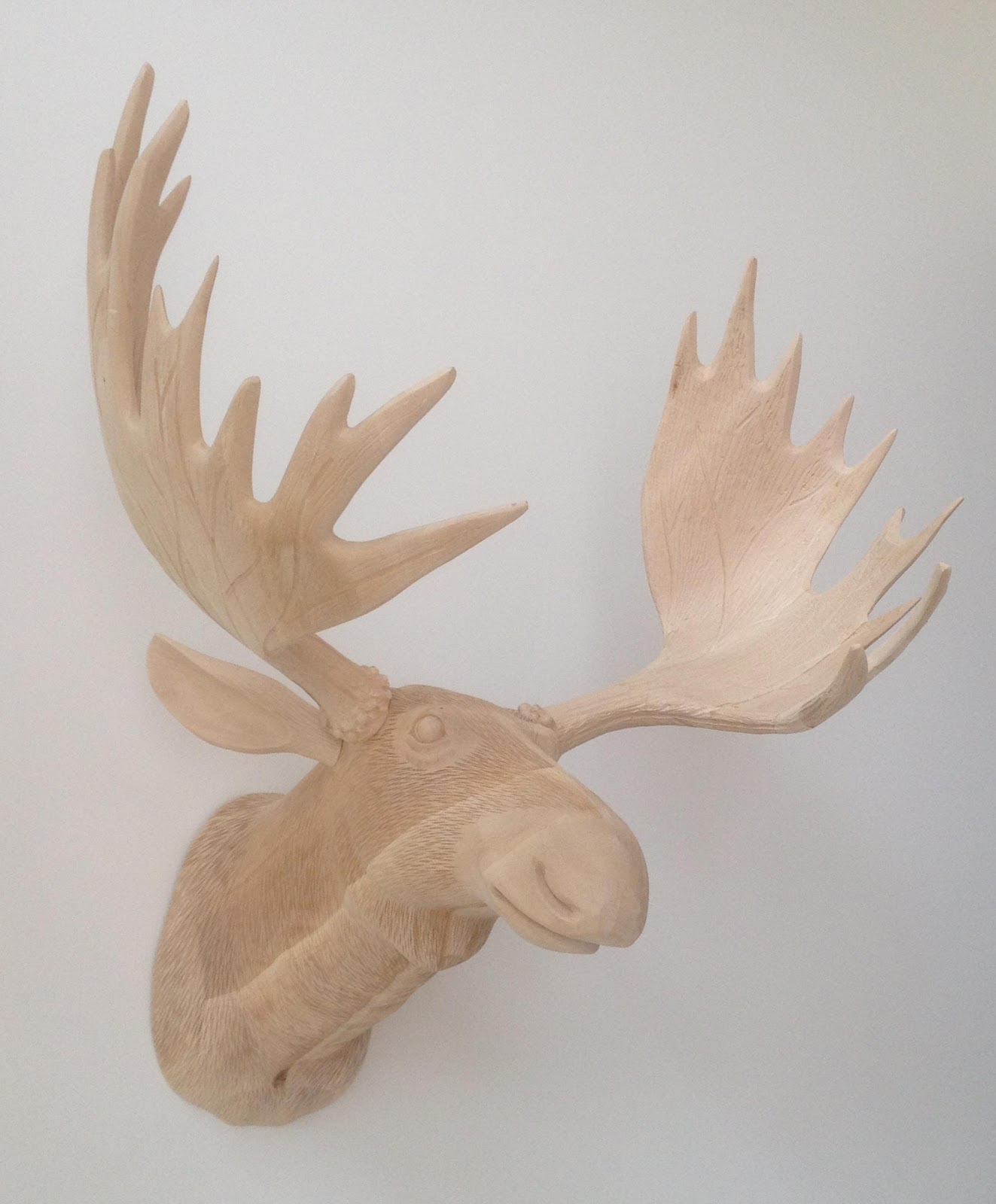 Everywhere I Go It S A Maggiemoose Moment