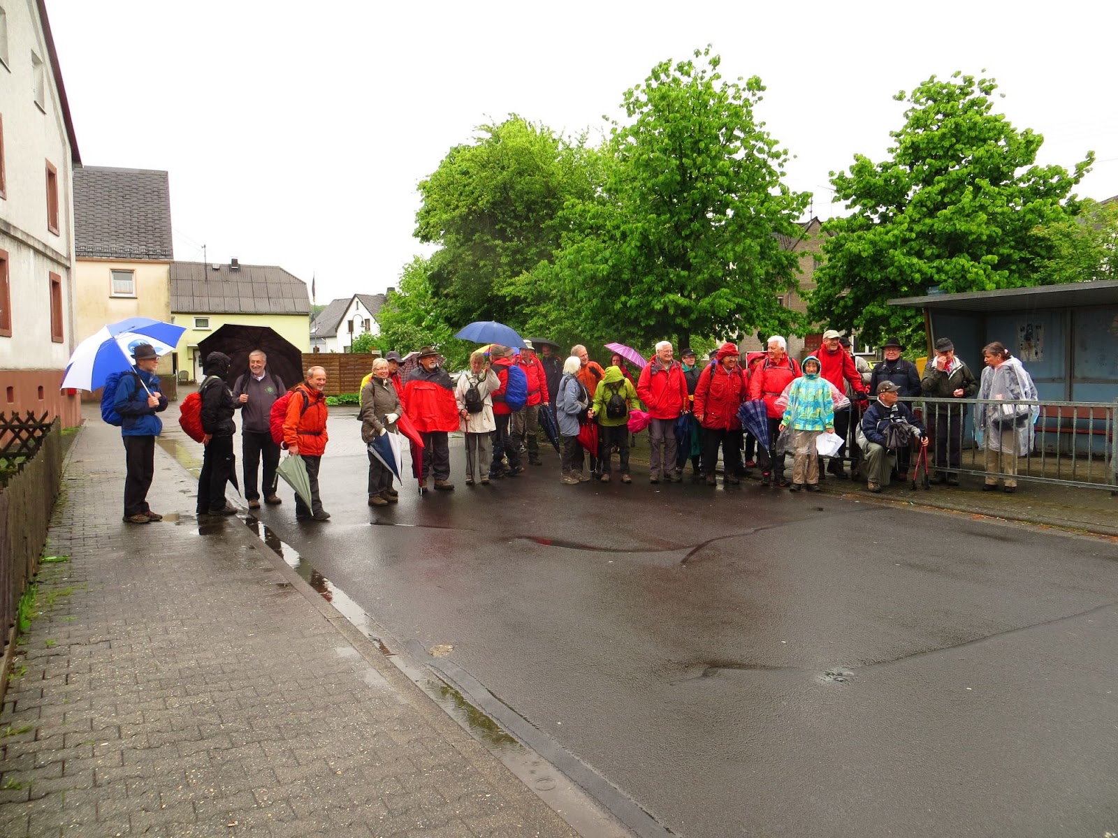 3 Terrier Aus Dem Westerwald