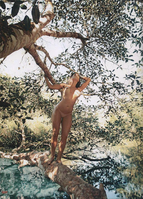 Vejam as belissimas fotos da mulher samambaia nua na praia do nudismo:só pa...