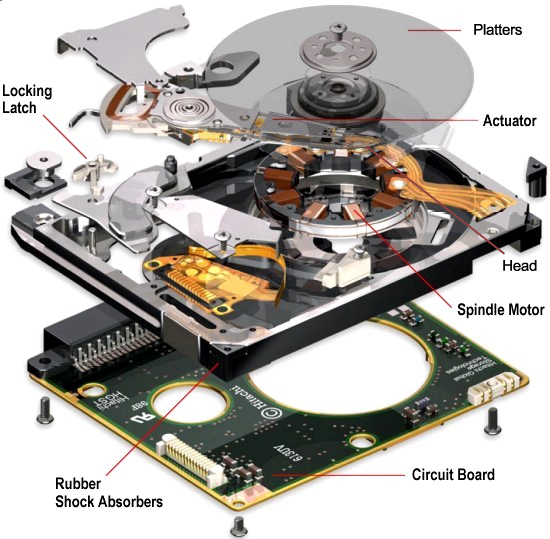 รายการ 95+ ภาพพื้นหลัง ฮาร์ดดิสอยู่หน่วยใดของส่วนประกอบฮาร์ดแวร์คอมพิวเตอร์ ใหม่ที่สุด