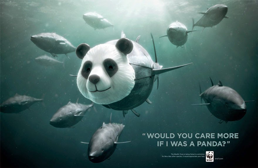 WWF: Bluefin Tuna. Would You Care More If I Was A Panda? - 33 Powerful Animal Ad Campaigns That Tell The Uncomfortable Truth WWF: Bluefin Tuna. Would You Care More If I Was A Panda? - 33 Powerful Animal Ad Campaigns That Tell The Uncomfortable Truth