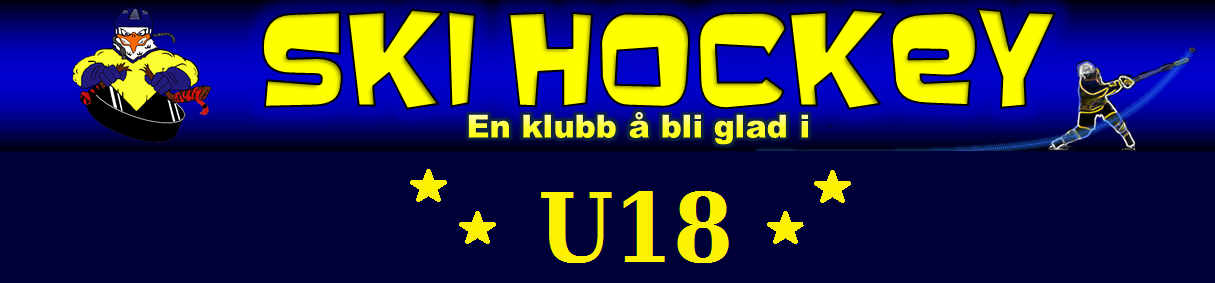 Ski Hockey U18