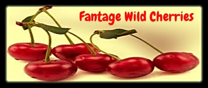 Fantage Wild Cherries