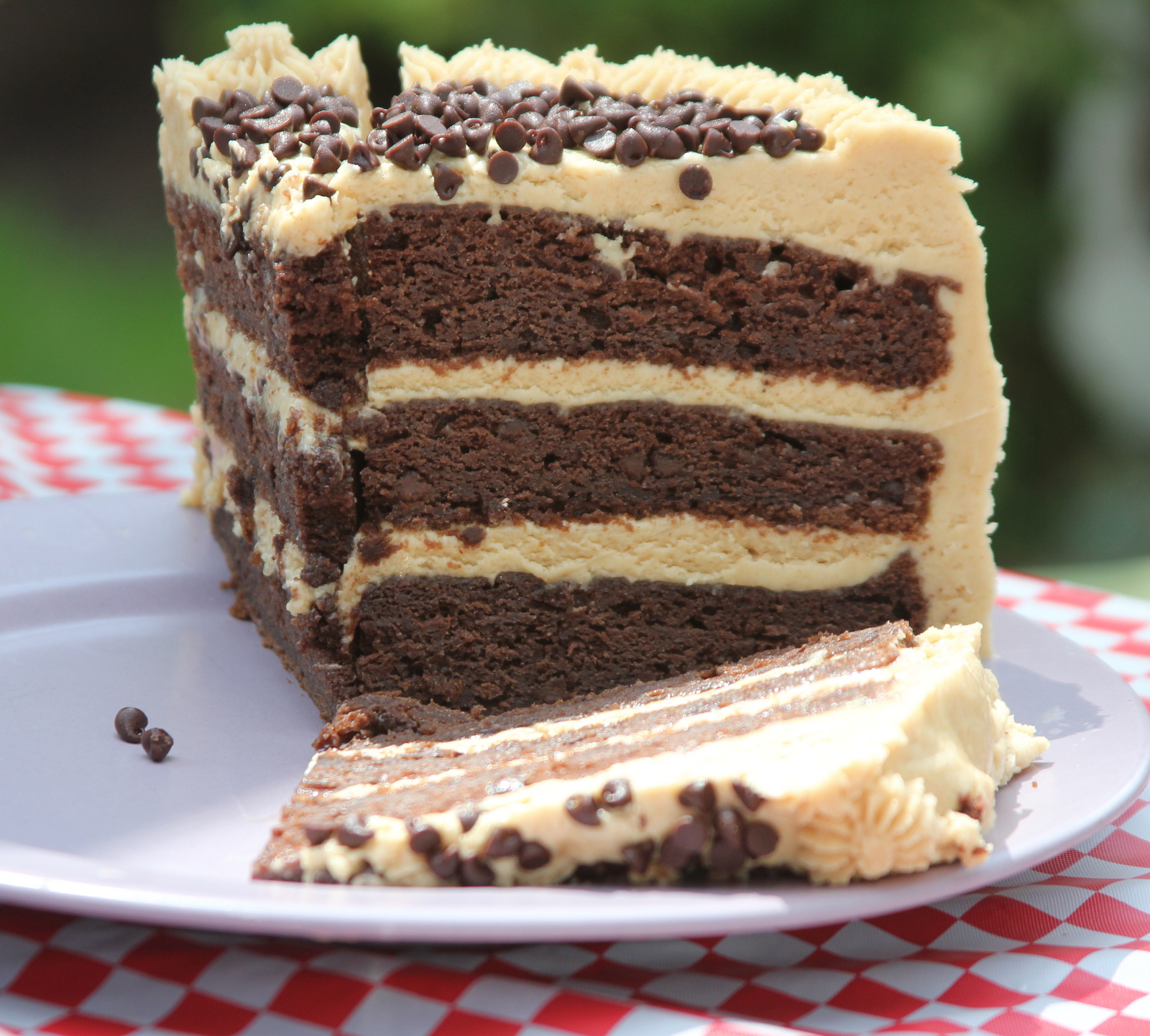 Punkie Pie's Place Chocolate Peanut Butter Fudge Cake