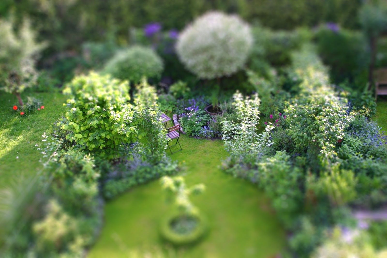 Günstig gärtnern Überlebenstipps für den Reihenhausgarten