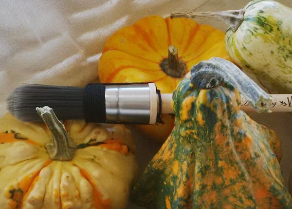 piccole zucche ornamentali