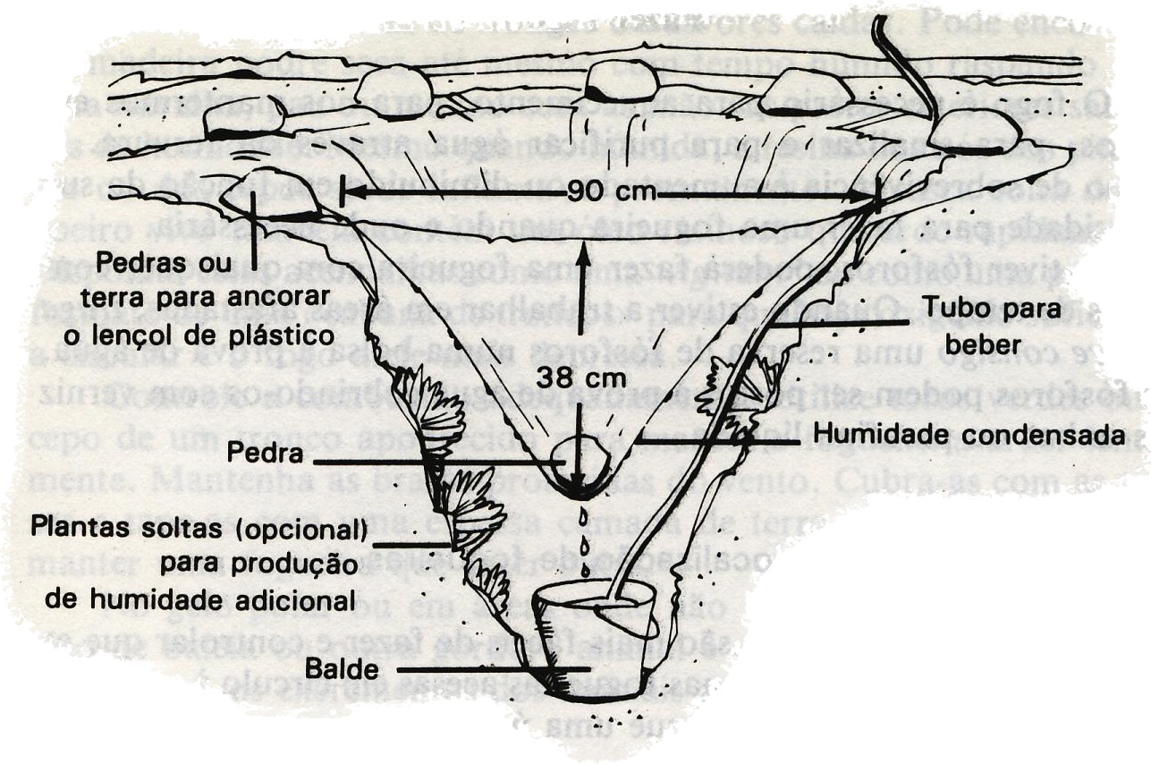  [Sobrevivência] Mega resumão Condensador+de+agua