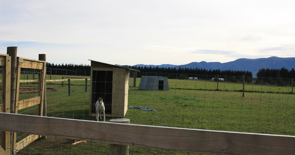 Feral Greyhound Kennels