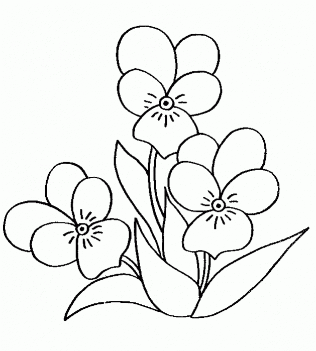 Disfruto en mi cole: Dibujo de una flor