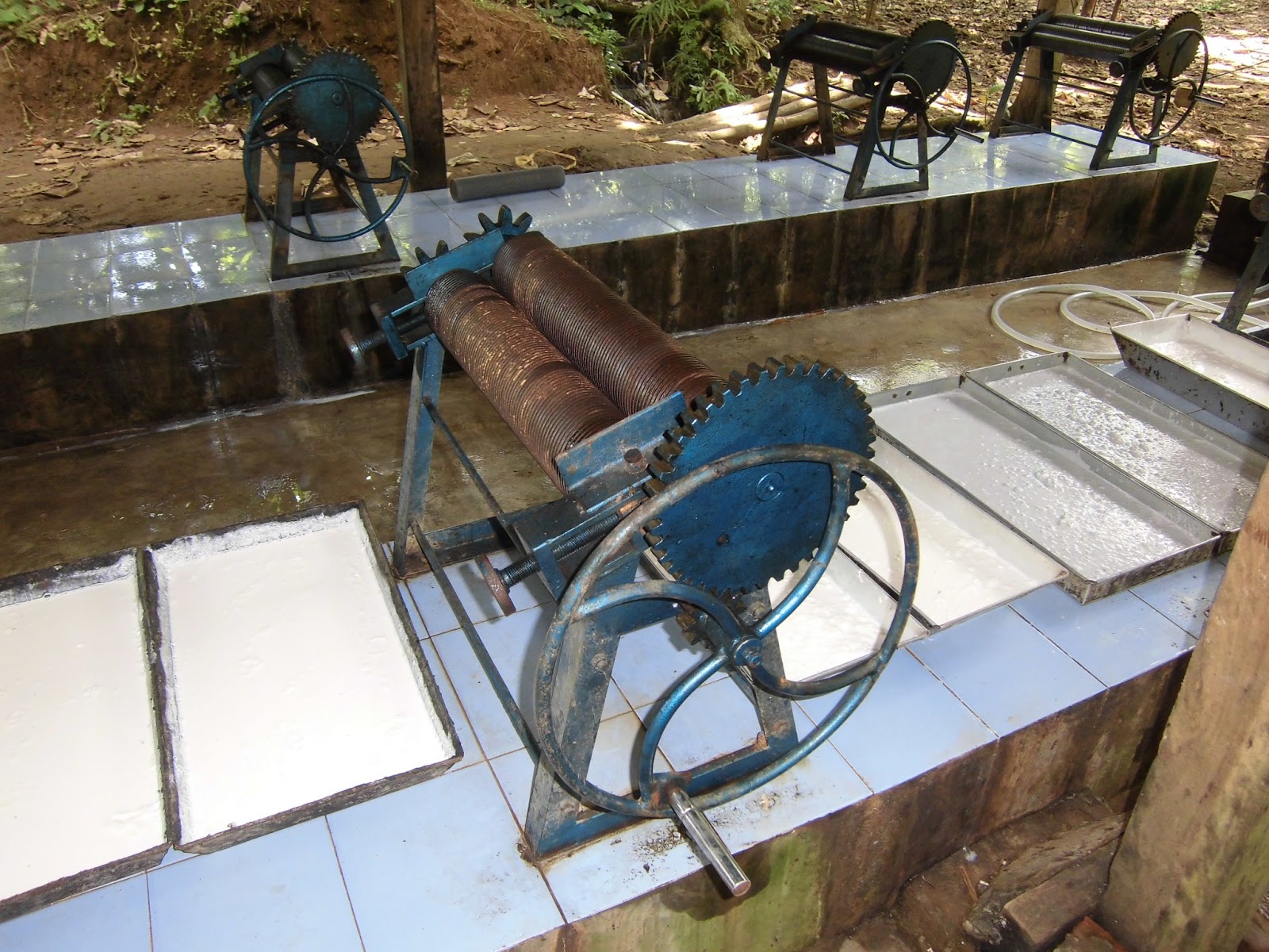 Rubber Sheet Processing