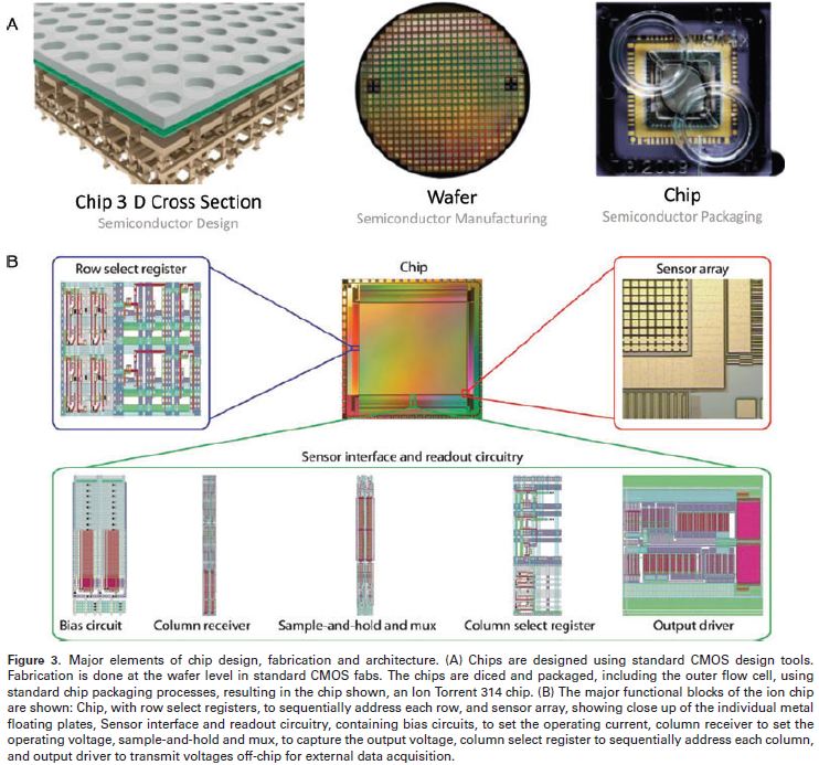 Genome Sequencing