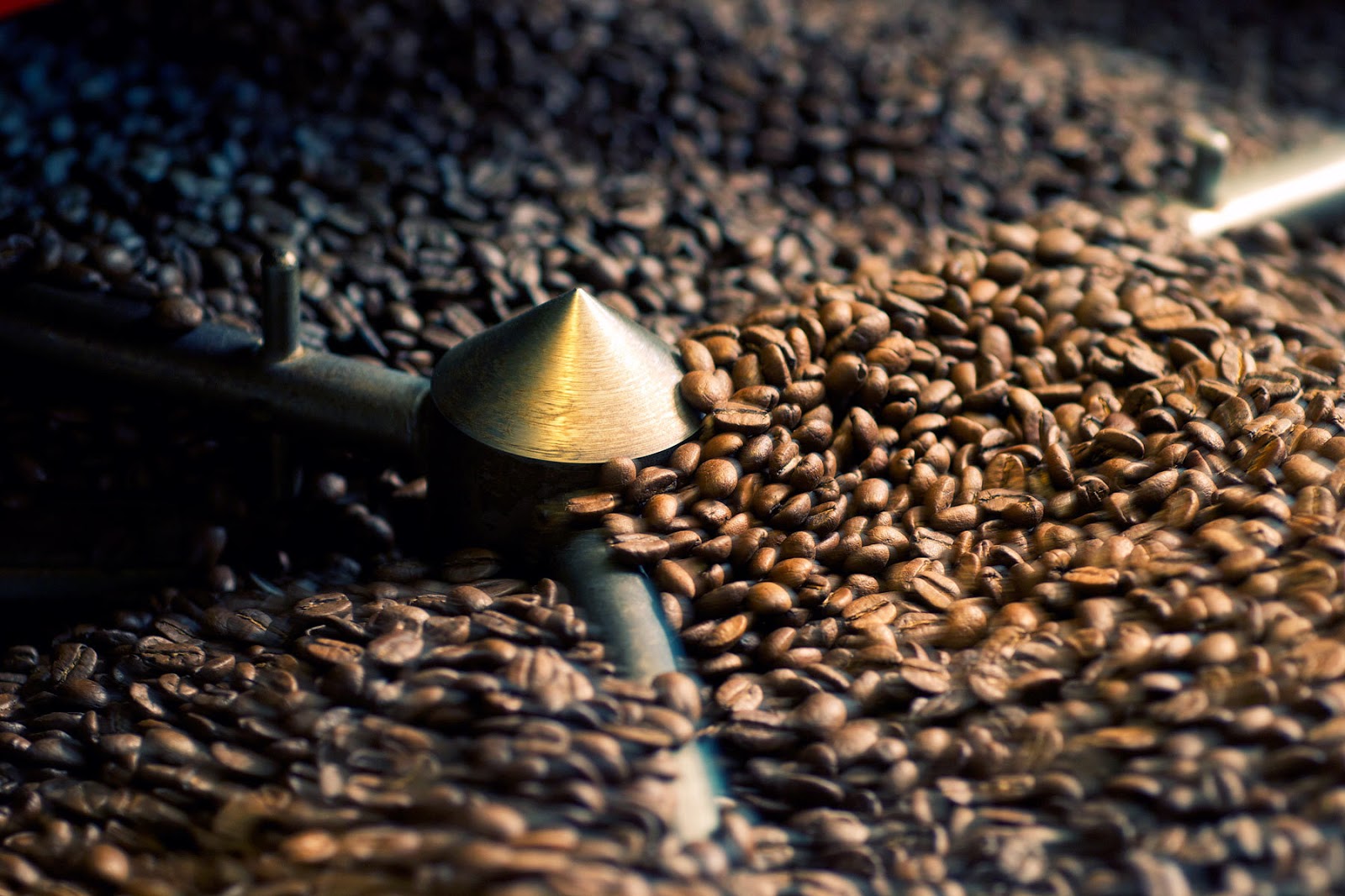 Enjoy%2Bthe%2BBest%2BFreshly-Roasted%2BC