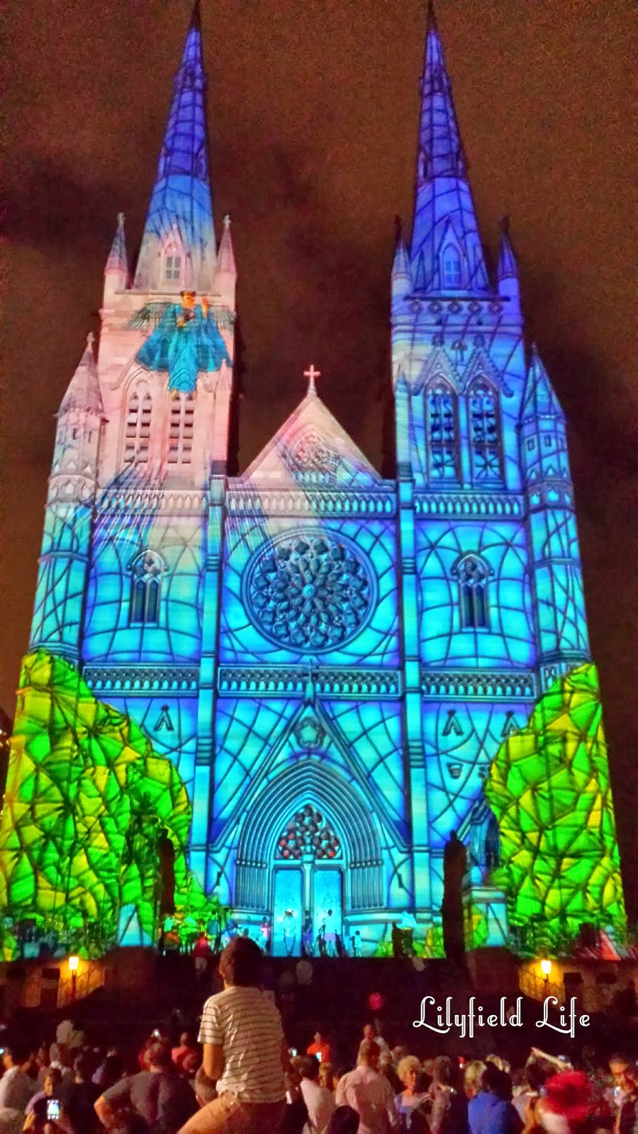 Lilyfield Life Christmas Lights at St Mary's Cathedral
