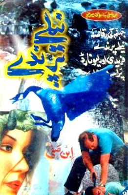  Neelay Parinday by Ibn-e-Safi