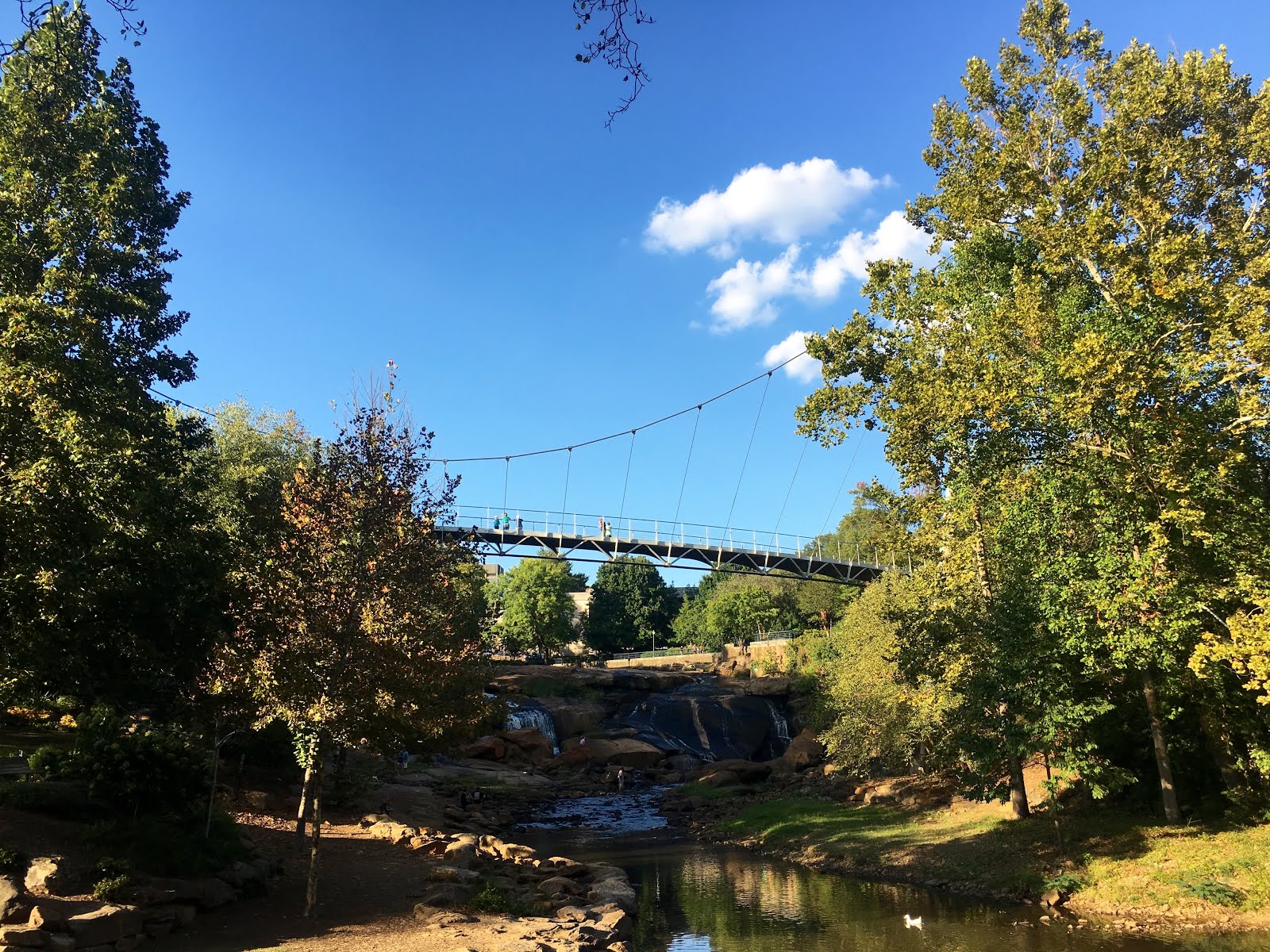 Magnolia Mamas Fall Break Part 1 {Falls Park Greenville, SC}