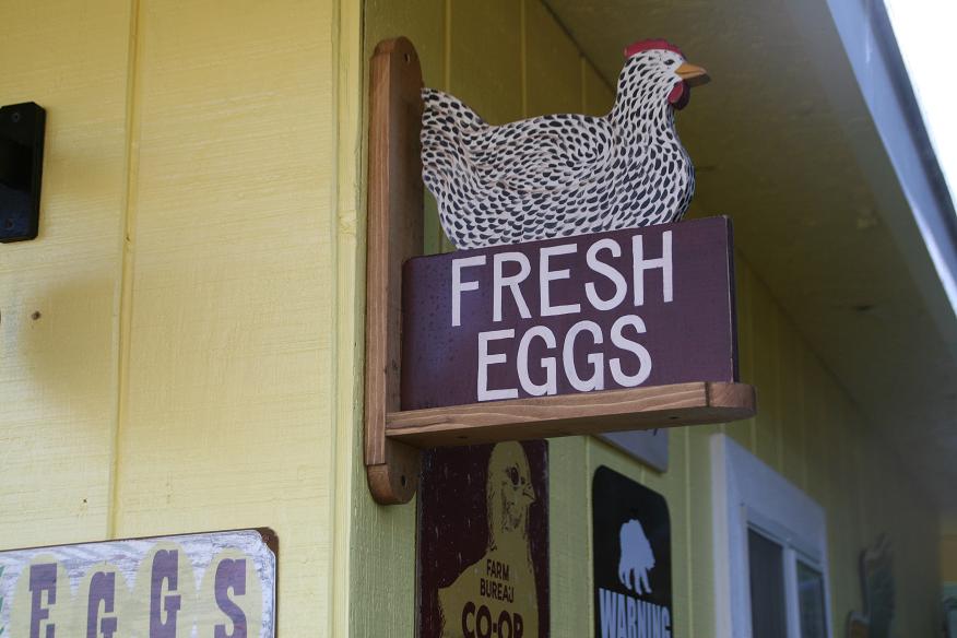 Anne Fannie's Green Acres My Chicken Coop