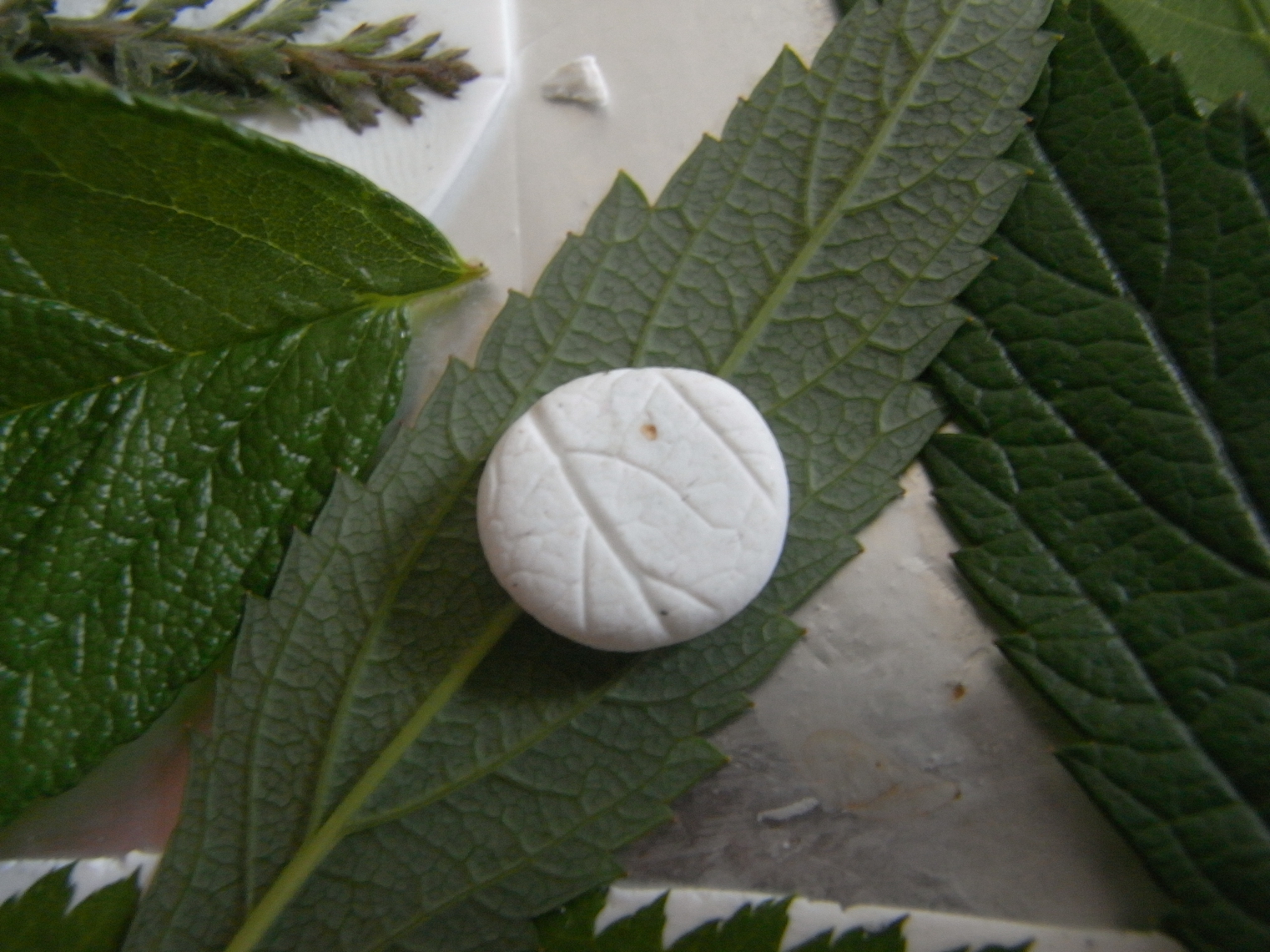 saraccino Shiny leaves polymer clay, new molds and how to make them