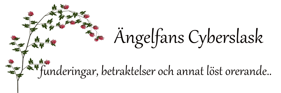 Ängelfans cyberslask