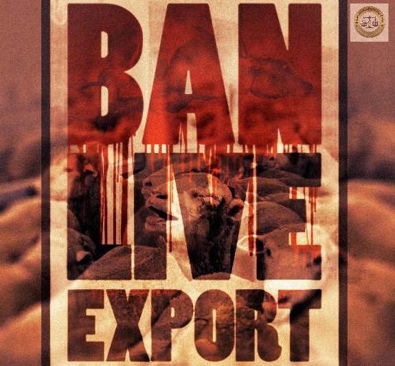 BAN  LIVE  EXPORT ON OUR PLANET