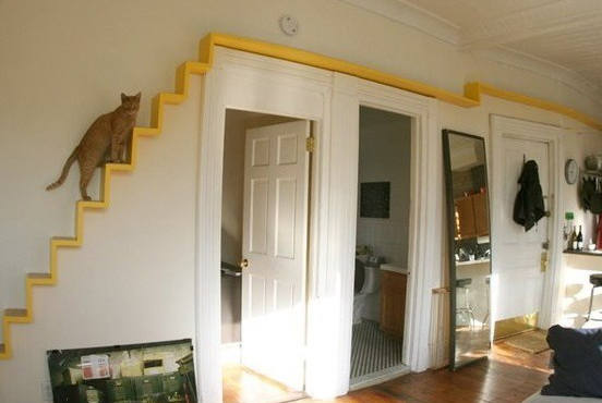 Funny cats cat houses