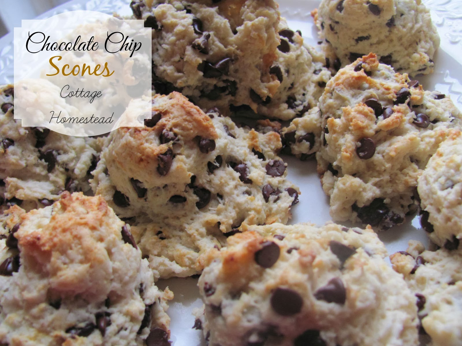 Cottage Homestead Healthy Whole Wheat Chocolate Chip Scones