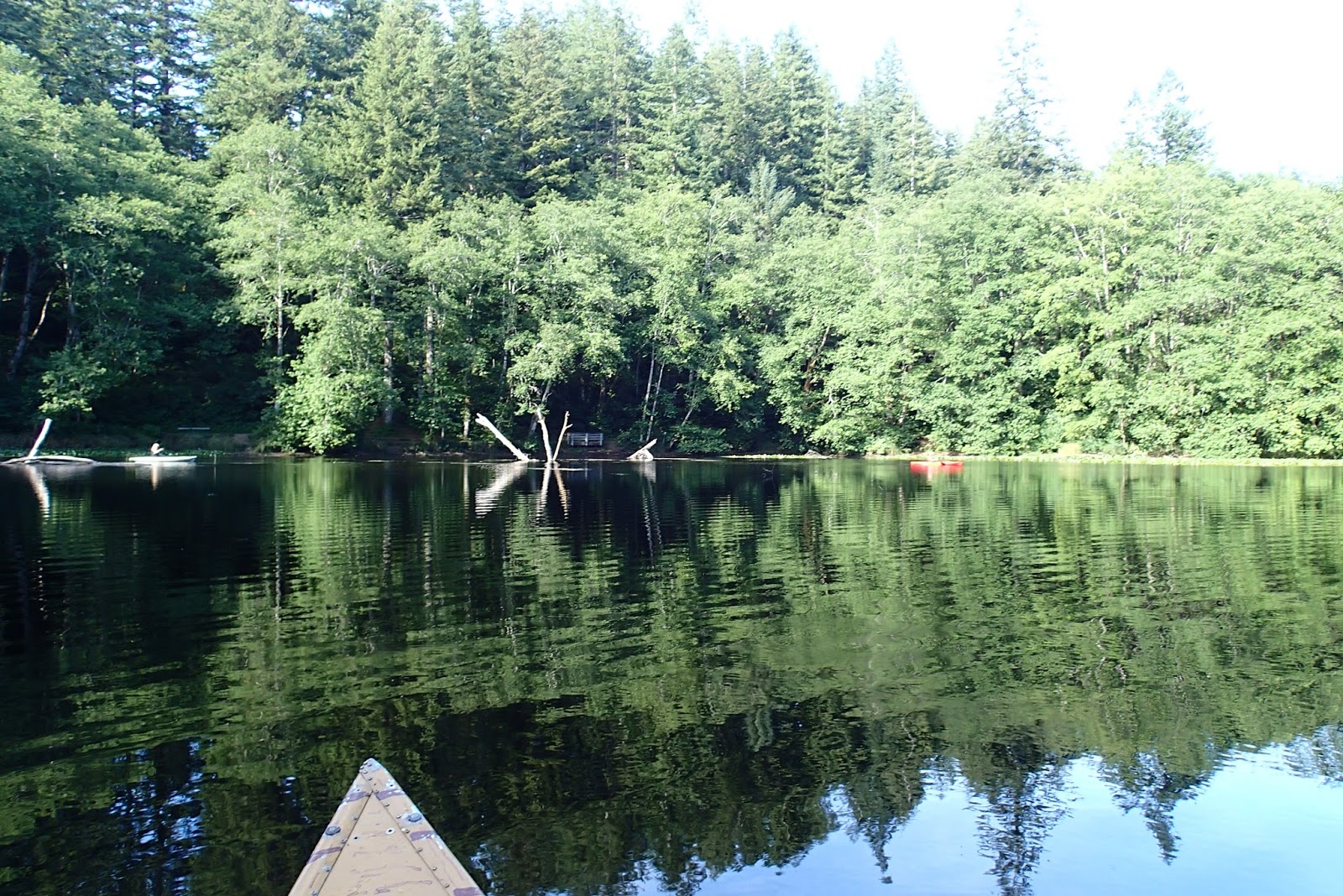 Casing Oregon A Mt. Hebo Family Gathering Ravens, Radar, and Rough