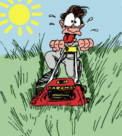 Gardening From the Ground Up: LOSING THE LAWN?
