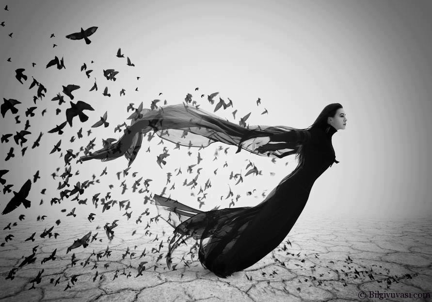 Siirlerim Sozlerim Yazilarim El Ele Goz Goze