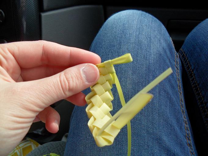 town and prairie Braiding Your Sunday Palms A Tutorial