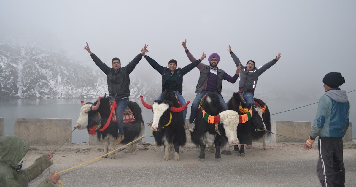 Life Seems So Much Lodgykal!