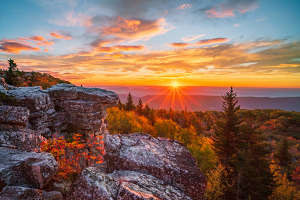 <b>Beautiful Sun Hawk</b>