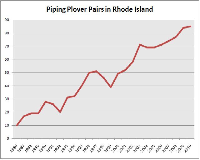 Preserving the Piping Plover JustOneDonna