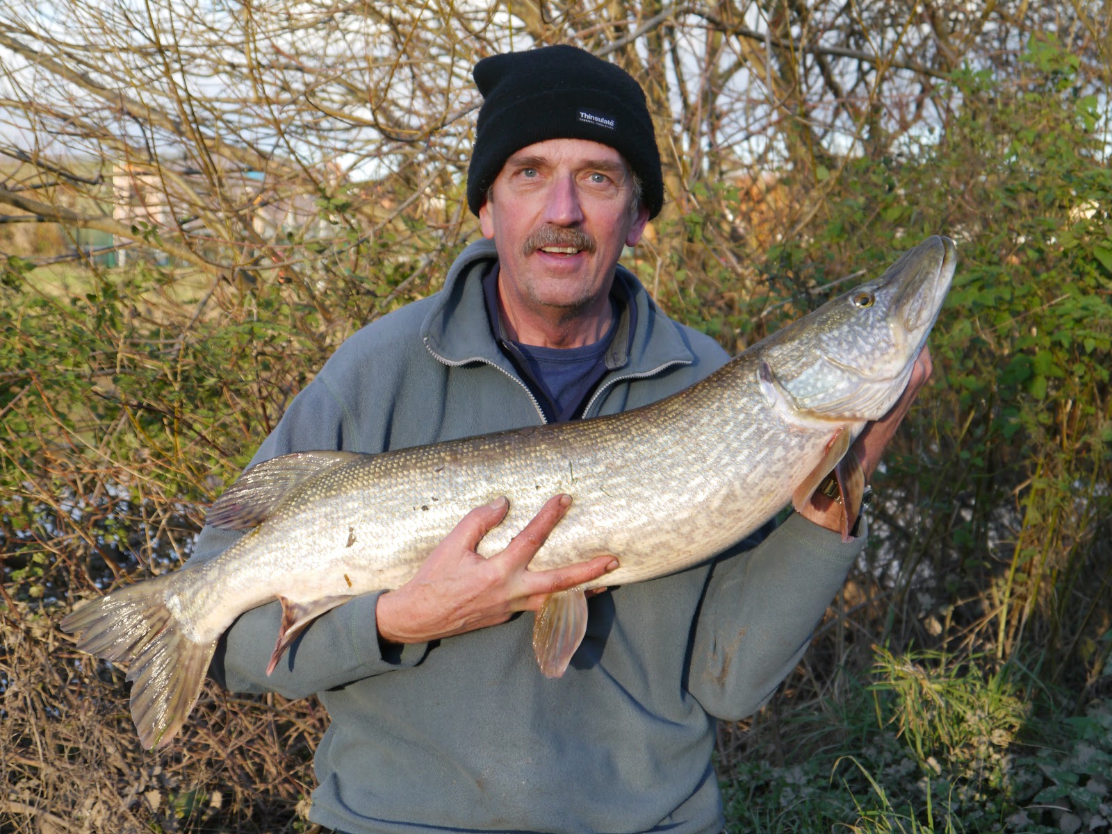 Pike Fishing