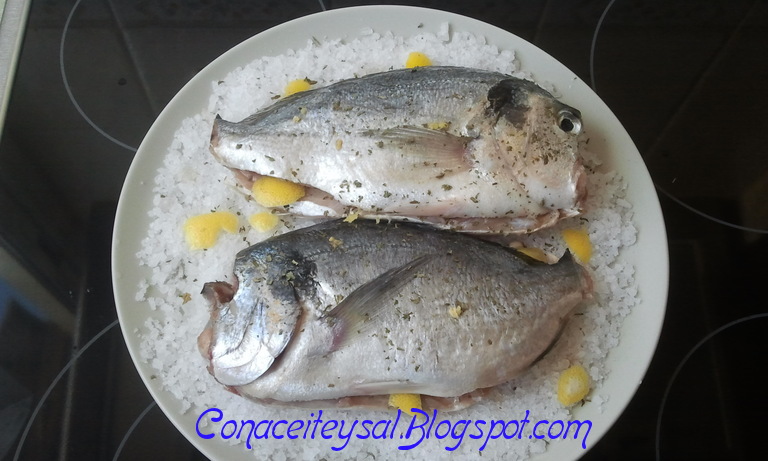 dorada a la sal microondas dorada a la sal con fragancia de limon microondas dorada a la sal microondas dorada a la sal con fragancia de limon microondas