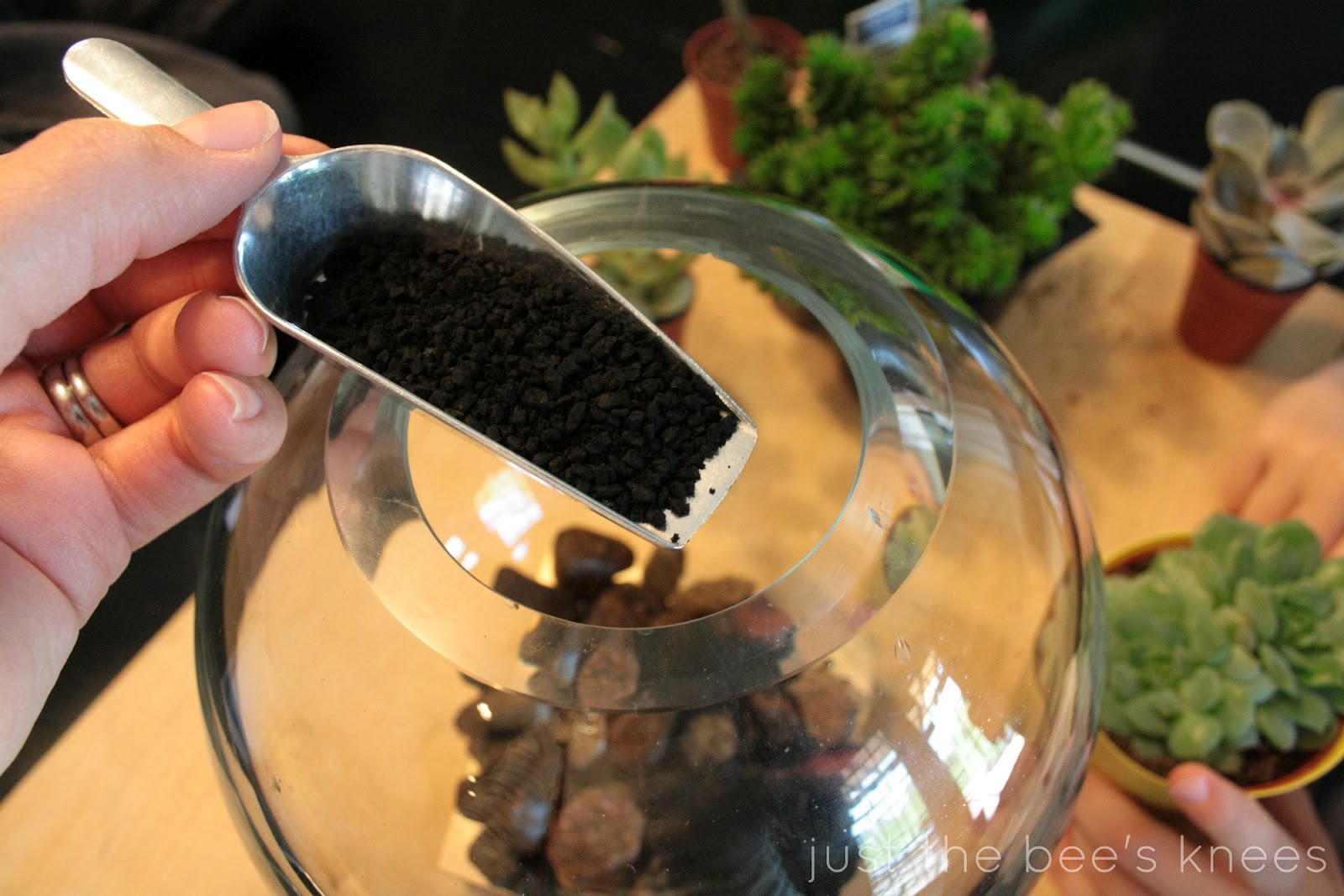 just the bee's knees Trendy Tuesday Terrariums and a Tutorial!