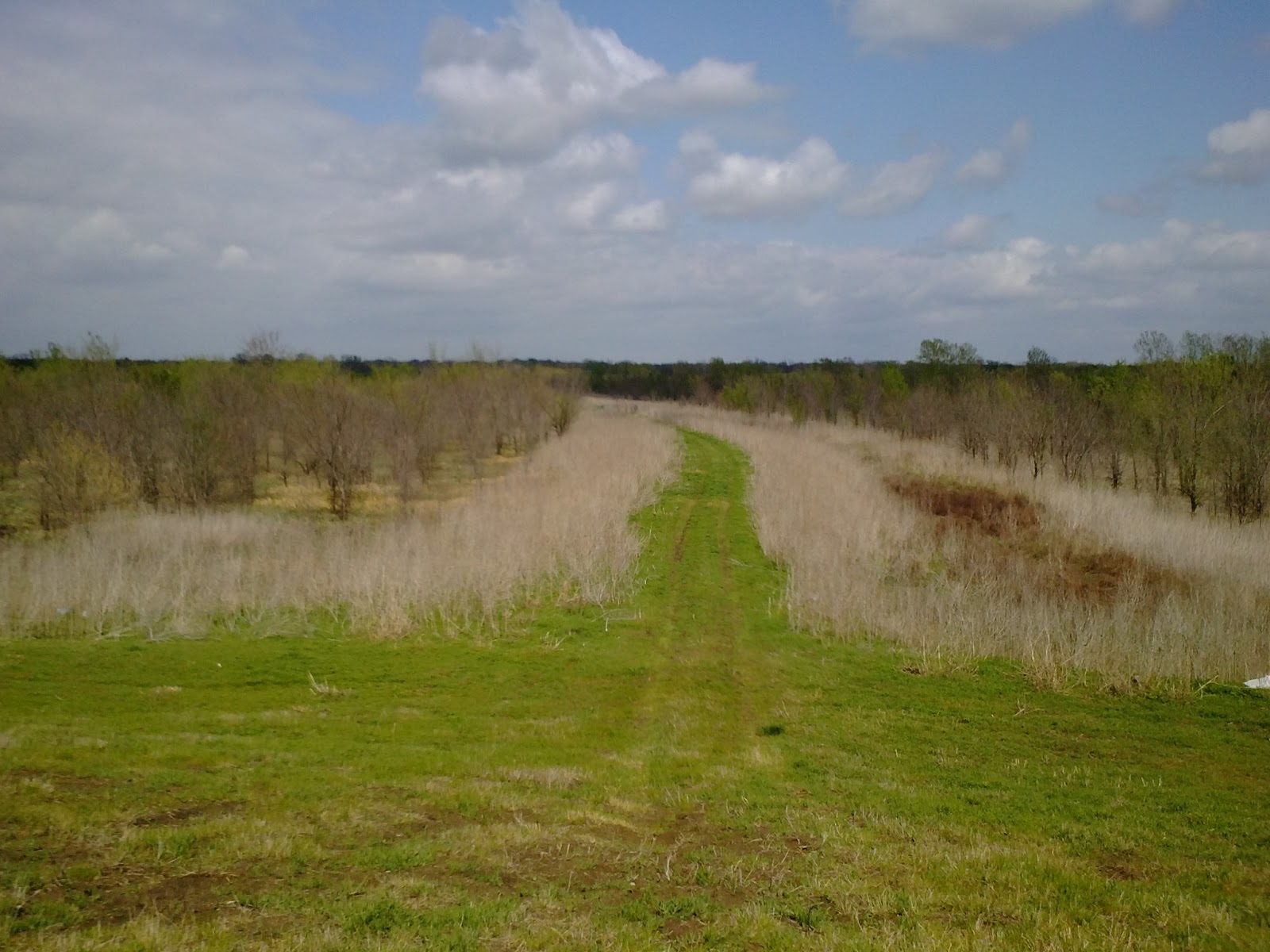 Sustainability Studio A Dallas' Bluff Landfill