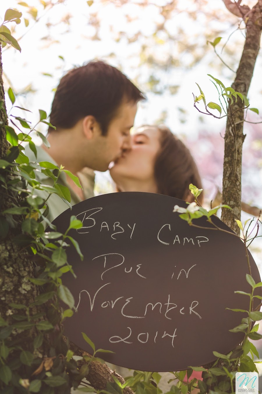 The Camp's Pregnancy Announcement {knoxville pregnancy announcement