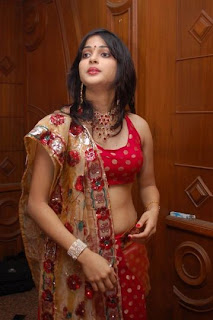 South indian actress Nicole navel show in red saree and red Hot top4